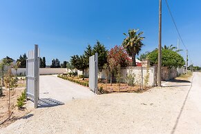 1890 Bilo Conchiglia Blu