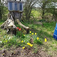 Cosy Escape Heated Luxury pod and hot tub