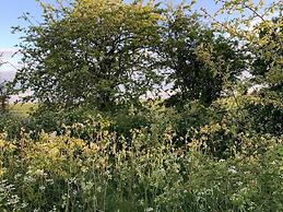 Cosy Escape Heated Luxury pod and hot tub