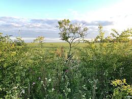 Cosy Escape Heated Luxury pod and hot tub