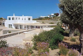 Villa True Elegance Mykonos, Agios Lazaros