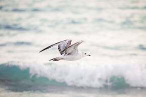 Harbor Towers 2nd Fl 2 Bedroom Pool View