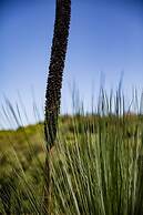 Clothiers Creek Farm