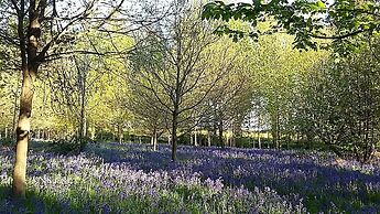 Hollicarrs - Newlands