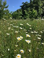 Hollicarrs - Newlands