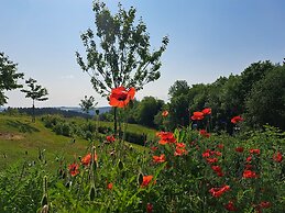 Chanteloup, Maison D'hôtes - Halleux