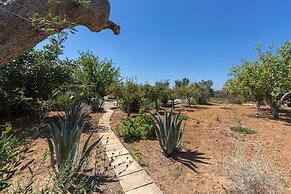 2090 La Terrazza del Salento