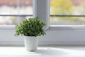 Elms Way No33 - Donnini Apartments