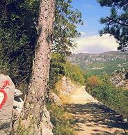 Studio Paula 2 300m From Sea