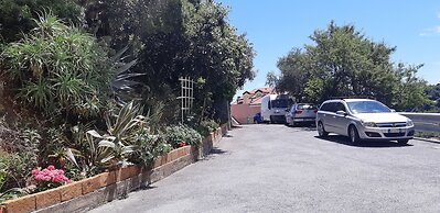 Flatty Alassio - Aloe