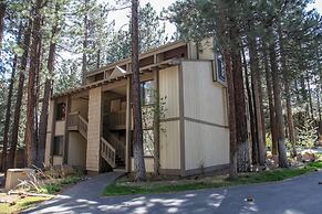 Horizons 4 189 Downtown Location On Shuttle Route, Great Complex Ameni