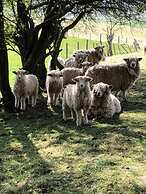 Cosy Lincs Wolds Cottage in Picturesque Tealby