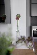 Apartments Steam Park Cracow by Renters