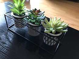 Manchester City Centre Apartment 1 Bed +sofa Bed