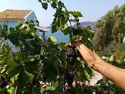 Agios Georgios - 2 Beds - Sleeps 5 - Free Parking