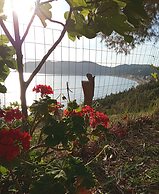 Agios Georgios - 2 Beds - Sleeps 5 - Free Parking