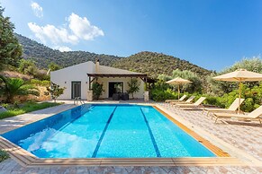 Villa Dimitrios Large Private Pool Sea Views Wifi Eco-friendly - 1974