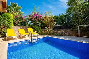 Villa Aysel Paradise Private Pool A C Wifi Car Not Required Eco-friend