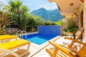 Villa Aysel Paradise Private Pool A C Wifi Car Not Required Eco-friend
