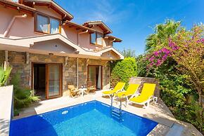 Villa Aysel Paradise Private Pool A C Wifi Car Not Required Eco-friend