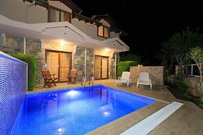 Villa Aysel Paradise Private Pool A C Wifi Car Not Required Eco-friend