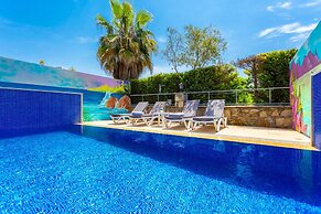 Villa Asli Paradise Private Pool A C Wifi Car Not Required Eco-friendl