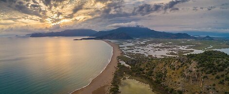 Villa Asli Paradise Private Pool A C Wifi Car Not Required Eco-friendl