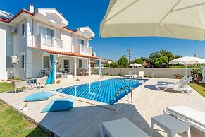 Villa Mina Large Private Pool A C Wifi Car Not Required Eco-friendly -