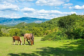 Villa Bellavista Large Private Pool Wifi - 3122