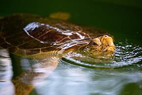 Villa Duman 2 Private Pool A C Wifi Car Not Required - 3165