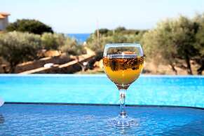 Vatsa Beach Villa Large Private Pool Walk to Beach Sea Views A C Wifi 