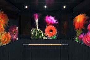 Tommie Austin, part of Jdv by Hyatt