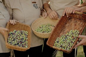 Castival Hotel - All inclusive