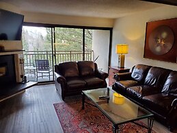 Newly Remodeled Condo Wren 201 with Creekside Views of Vail Mountain b