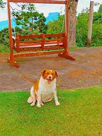 Pousada Village Pôr do Sol