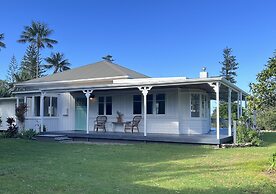 Meryta House