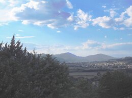 Podere Caldaruccio La Pineta - Torretta