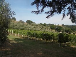 Podere Caldaruccio La Pineta - Torretta