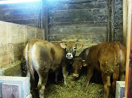 Podere Caldaruccio La Pineta - Torretta