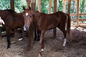 Podere Caldaruccio La Pineta - Torretta