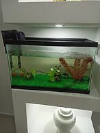 Luxurious Apartment 4to Level With Security Camera