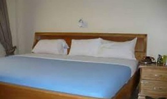 True Vine Hotel - Deluxe Double