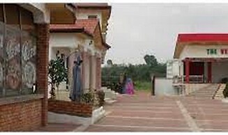 True Vine Hotel - Deluxe Double