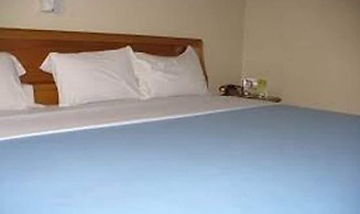 True Vine Hotel - Deluxe Double