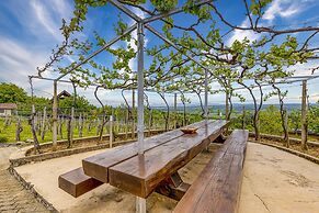 Vineyard Homestead Vrtin