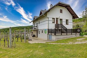 Vineyard Homestead Vrtin