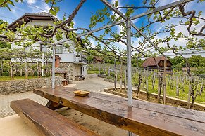 Vineyard Homestead Vrtin