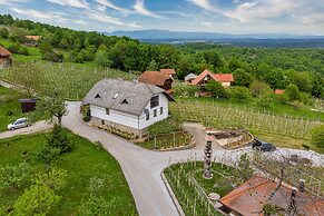 Vineyard Homestead Vrtin