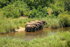 Leopard Sands, Kruger Park