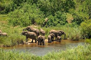 Leopard Sands, Kruger Park